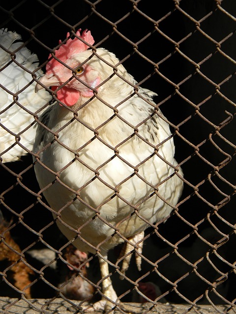 病而遭遇职 病而遭遇职