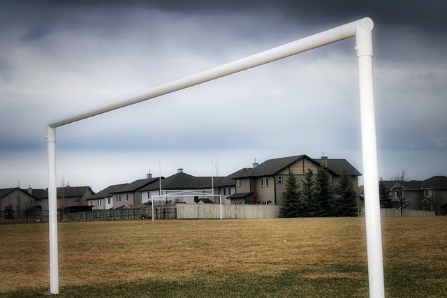 由于过于激 由于过于激