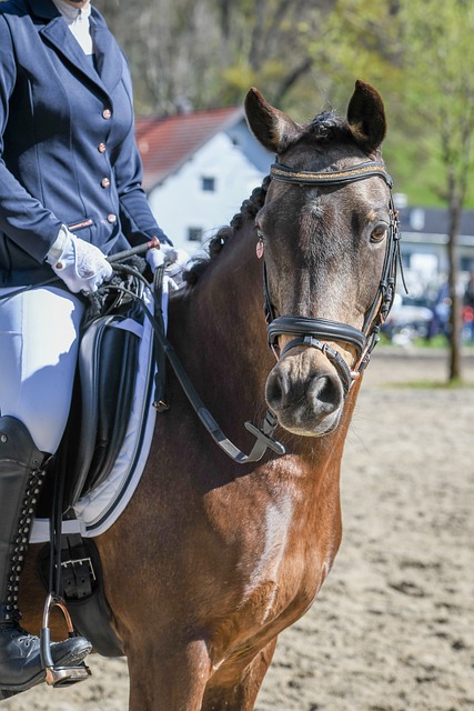 还在串联全 还在串联全