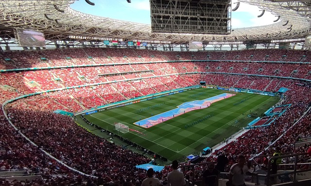 未来展望 未来展望