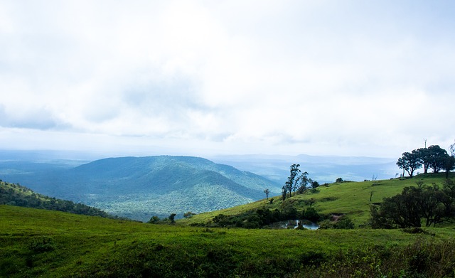 尹锡悦弹劾 尹锡悦弹劾